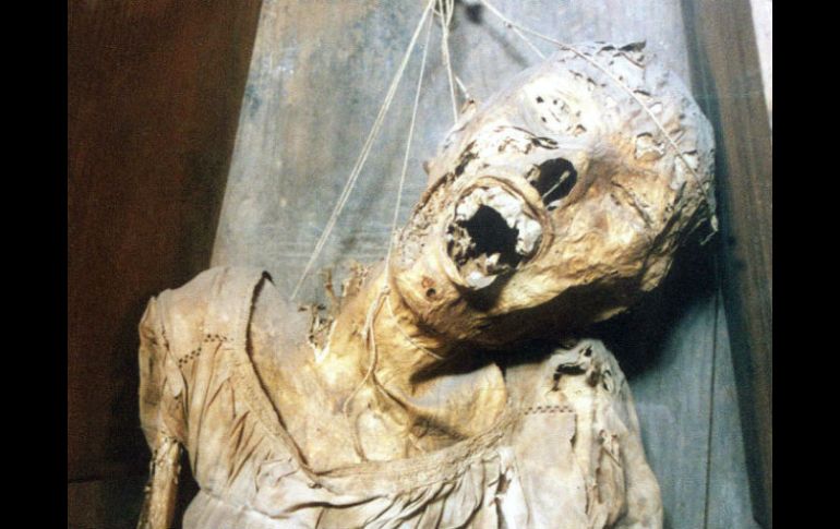 Consideran grave haberse llevado elementos de museografía sin autorización. EL INFORMADOR / ARCHIVO