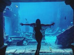 En una de las imágenes aparece recargada en la pecera de un acuario en donde se puede apreciar su delineada figura. INSTAGRAM / dannapaola