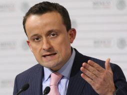 Arriola señala que se han hecho una a través del machote del fallo de la Corte, una petición para 11 personas y 32 del PRD. NTX / ARCHIVO