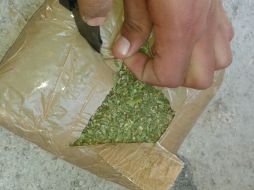 Tanto el detenido como la droga quedaron a disposición del Miniserio Público de la Federación. NTX / ARCHIVO