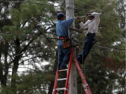 Uno de los proyectos consiste en cambiar líneas de baja tensión por otras de media tensión. EL INFORMADOR / ARCHIVO