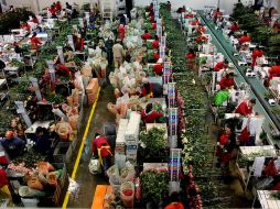 Por segundo año se romperá el récord en generación de empleos en la Entidad para acercarse a los 80 mil. EFE / ARCHIVO