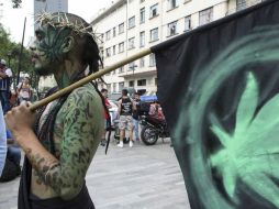 Dicha planta sigue siendo una sustancia ilegal, de acuerdo a lo establecido en la ley. SUN / ARCHIVO