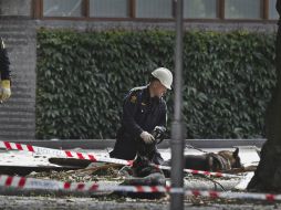 La policía asegura que ninguno de los perros llevaba collar y al parecer no habían sido abandonados. AP / ARCHIVO