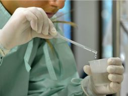 El país eleva el combate al mosquito aedes aegypti que transmite el zika, después de haber hallado presencia del virus en un bebé. NTX / ARCHIVO