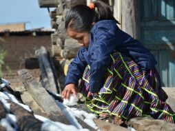 Se han repartido mantas invernales y alimentos para mitigar los efectos del frío entre la población. EFE / S. Romina