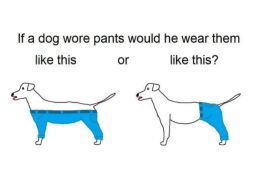 La imagen tiene más de 30 mil retuits. TWITTER / @jaredbkeller