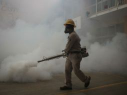 El virus zika se propaga a través de la picadura del mosquito del dengue o chikungunya. SUN / ARCHIVO