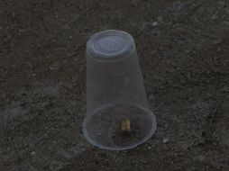 Víctimas de 'bala perdida' están indefensas por la falta de una legislación. EL INFORMADOR / ARCHIVO