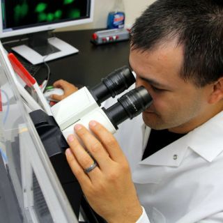 Confirman hallazgo del elemento número 113 de la tabla periódica