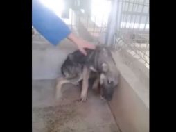 La video ha sido visto más de tres millones de veces. YOUTUBE / Hernan Cargnello