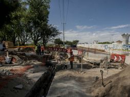 De los cinco mil 992 árboles afectados por el desarrollo de la obra, tres mil 626 tienen una afectación directa. EL INFORMADOR / R. Tamayo