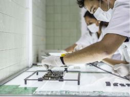 Gutiérrez Wittman destacó que en Jalisco hubo más de 300 capacitaciones en 60 empresas diferentes. EL INFORMADOR / ARCHIVO