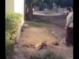 En la descripción, el usuario de YouTube indicó que presuntamente el hombre padece de sus facultades mentales. YOUTUBE / oscasvaz