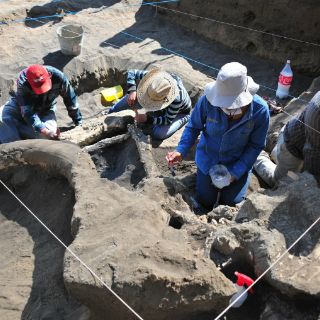 Restos de mamut revelan antigüedad de humanos en el Ártico