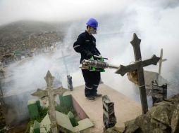 En Martinica, habían sido confirmados 47 casos de personas contaminadas y había 610 casos sospechosos. AFP / E. Benavides