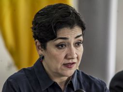 'Es una responsabilidad del Estado migrar a un modelo que cumple con lo que pide la sociedad', asegura Ruiz Mejía. EL INFORMADOR / ARCHIVO