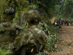 Las FARC plantearon la libertad de todos sus miembros que están con problemas de salud en las diferentes presiones de Colombia. AFP / ARCHIVO