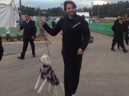 Derbez añadió que la idea no es matarlos, sino combatir el problema desde su origen. TWITTER / @eugenioderbez