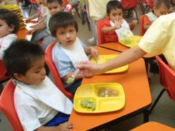 Los menús correctos deben contener frutas, vegetales, proteínas, lácteos y cereales. EL INFORMADOR / ARCHIVO