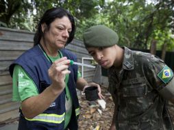 Río de Janeiro y Sao Paulo son las regiones más afectadas. AP / A. Penner