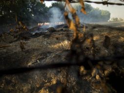 En lo que va de 2016 se han registrado 80 incendios en pastizales y lotes baldíos. EL INFORMADOR / ARCHIVO