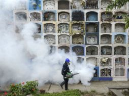Fumigación en cementerio de Lima. En la región hay 20 países con circulación autóctona del virus, según la OPS. AFP / E. Benavides