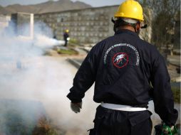 Piden a los viajeros, principalmente a las mujeres embarazadas, reconsiderar su viaje a zonas donde está el virus. AP / M. Mejía