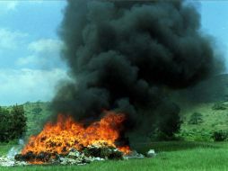 Elementos de la Agencia de Investigación Criminal dieron fe de la incineración de los narcóticos. EL INFORMADOR / ARCHIVO