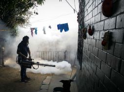 Zika es una enfermedad transmitida por mosquitos; sus síntomas son generalmente más leves que el dengue y chikungunya. EFE / ARCHIVO