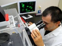 El estudio se inició luego de encontrar una posible relación entre el aumento de padecimientos del síndrome de Guillain-Barré. EFE / ARCHIVO