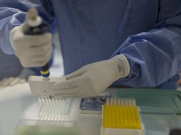 Aunque ya analizan este virus, todavía no existe una vacuna. AP / ARCHIVO