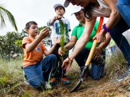 La semana que viene inicia un programa con Zapopan donde se van a plantar 50 mil árboles en los próximos 12 meses. EL INFORMADOR / ARCHIVO