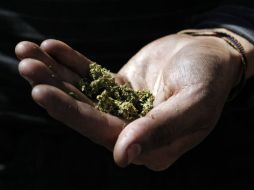 Revelan que por cada 10 usuarios de drogas, el consumo es más frecuente entre los hombres. EL INFORMADOR / ARCHIVO