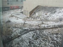 Hasta el momento se han registrado 12 accidentes en la zona conurbada, sin pérdidas humanas, debido a la nevada. NTX / M. Chávez