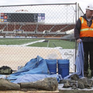 Obreros descubren huesos de mamut en Oregon