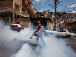 En el país se inició una campaña de fumigación para combatir el mosquito Aedes aegypti. EFE / M. Gutiérrez