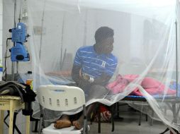 En tanto no se tengan los resultados del laboratorio, no puede confirmarse si se trata de zika. AFP / O. Sierra