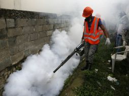 El zika es de reciente aparición en el continente americano y se está comenzando a conocer sus efectos sobre la salud de la población. EFE / O. Barría
