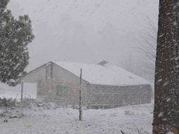 Informan sobre aviso preventivo de las condiciones meteorológicas. NTX / ARCHIVO