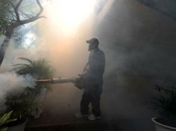 Brasil es el país más afectado por el virus, seguido de Colombia. AFP / ARCHIVO