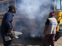 La OMS declaró el lunes una emergencia sanitaria global por el virus del Zika. EFE / G. Amador