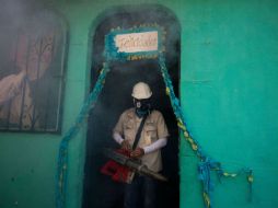 Mientras no se cuente con una vacuna, el virus del zika debe combatirse con medidas como la fumigación. AFP / P. Pardo