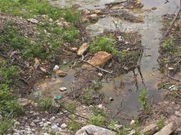 El terreno volvería a las condiciones normales en menos de tres meses. SUN / ARCHIVO