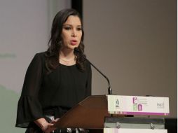 Ximena Puente señala que se fija una reserva automática sobre nuevas materias y supuestos no previstos. SUN /