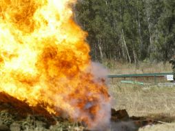 Las drogas estaban relacionados con 49 averiguaciones previas, iniciadas por delitos contra la salud. EL INFORMADOR / ARCHIVO