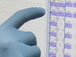 La OMS prevé que haya millones de enfermos de este virus en AL. AP / A. Franco