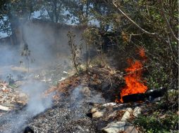 De la superficie afectada sólo 15.5 hectáreas corresponden a árboles; el resto se trató de hierbas, arbustos y renuevo. EL INFORMADOR / ARCHIVO