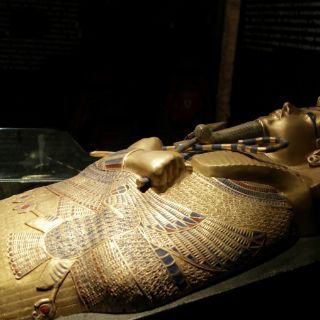 Más de 200 mil personas visitaron exposición 'Tutankamón'