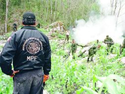 La mariguana y la amapola fueron incineradas ante la mirada del agente del Ministerio Público de la Federación. EL INFORMADOR / ARCHIVO